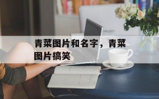 青菜图片和名字，青菜图片搞笑