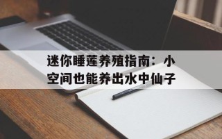 迷你睡莲养殖指南：小空间也能养出水中仙子
