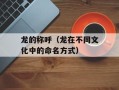 龙的称呼（龙在不同文化中的命名方式）