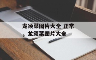 龙须菜图片大全 正常，龙须菜图片大全