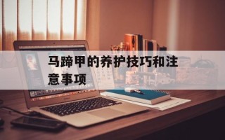 马蹄甲的养护技巧和注意事项