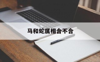 马和蛇属相合不合