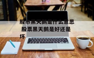 股市黑天鹅是什么意思 股票黑天鹅是好还是坏