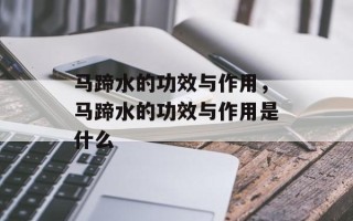 马蹄水的功效与作用，马蹄水的功效与作用是什么