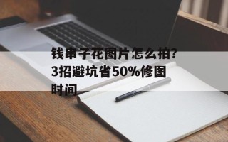 钱串子花图片怎么拍？3招避坑省50%修图时间