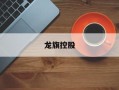 龙旗控股