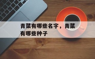 青菜有哪些名字，青菜有哪些种子