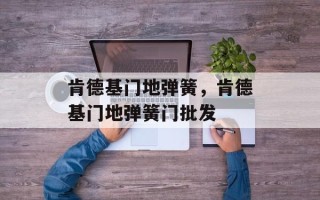 肯德基门地弹簧，肯德基门地弹簧门批发