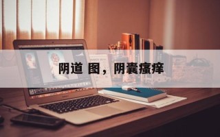 阴道 图，阴囊瘙痒