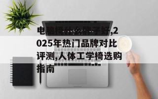 电脑椅什么牌子好,2025年热门品牌对比评测,人体工学椅选购指南