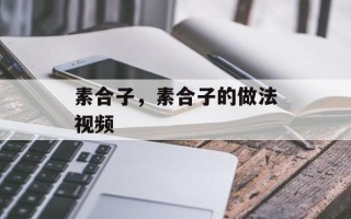 素合子，素合子的做法视频