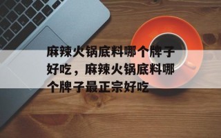 麻辣火锅底料哪个牌子好吃，麻辣火锅底料哪个牌子最正宗好吃
