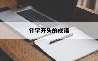 针字开头的成语