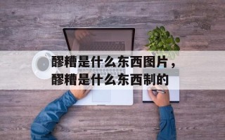 醪糟是什么东西图片，醪糟是什么东西制的