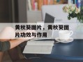 黄秋葵图片，黄秋葵图片功效与作用