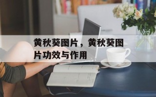 黄秋葵图片，黄秋葵图片功效与作用