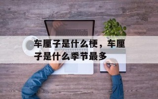 车厘子是什么梗，车厘子是什么季节最多