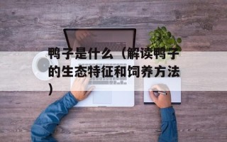 鸭子是什么（解读鸭子的生态特征和饲养方法）