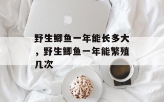 野生鲫鱼一年能长多大，野生鲫鱼一年能繁殖几次