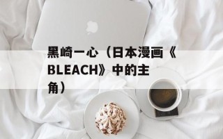 黑崎一心（日本漫画《BLEACH》中的主角）