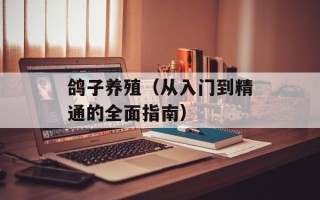 鸽子养殖（从入门到精通的全面指南）