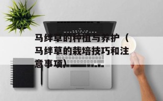 马绊草的种植与养护（马绊草的栽培技巧和注意事项）