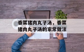 香菜猪肉丸子汤，香菜猪肉丸子汤的家常做法