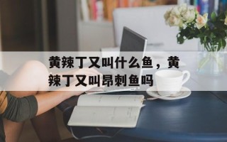 黄辣丁又叫什么鱼，黄辣丁又叫昂刺鱼吗