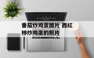 番茄炒鸡蛋图片 西红柿炒鸡蛋的照片