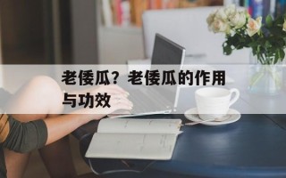 老倭瓜？老倭瓜的作用与功效