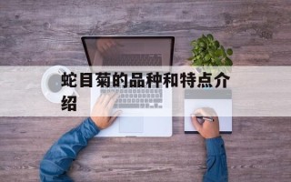 蛇目菊的品种和特点介绍