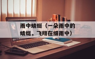 雨中蜻蜓（一朵雨中的蜻蜓，飞翔在细雨中）