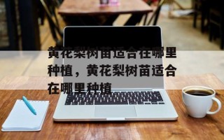黄花梨树苗适合在哪里种植，黄花梨树苗适合在哪里种植