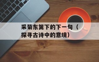 采菊东篱下的下一句（探寻古诗中的意境）