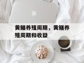 黄鳝养殖周期，黄鳝养殖周期和收益