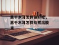 黑干木耳怎样做好吃，黑干木耳怎样能煮出胶来