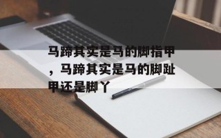 马蹄其实是马的脚指甲，马蹄其实是马的脚趾甲还是脚丫