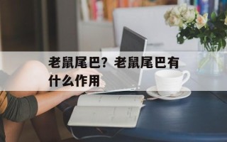 老鼠尾巴？老鼠尾巴有什么作用