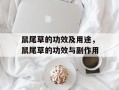 鼠尾草的功效及用途，鼠尾草的功效与副作用