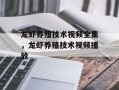 龙虾养殖技术视频全集，龙虾养殖技术视频播放