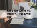 黑瞎子是什么动物（认识黑瞎子，了解其生态习性）