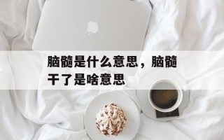 脑髓是什么意思，脑髓干了是啥意思