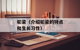 驼梁（介绍驼梁的特点和生长习性）