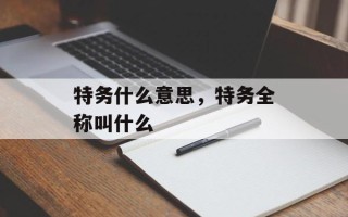 特务什么意思，特务全称叫什么