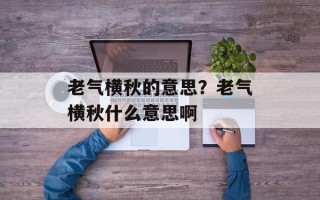 老气横秋的意思？老气横秋什么意思啊