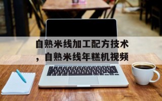 自熟米线加工配方技术，自熟米线年糕机视频