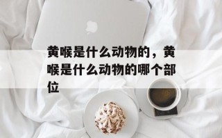 黄喉是什么动物的，黄喉是什么动物的哪个部位