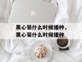 黑心菊什么时候播种，黑心菊什么时候播种