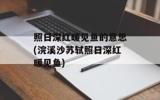 照日深红暖见鱼的意思(浣溪沙苏轼照日深红暖见鱼)