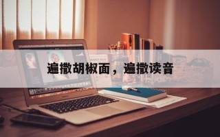 遍撒胡椒面，遍撒读音